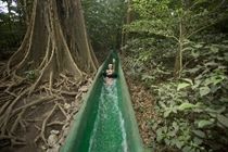 غواناكاستي Buena Vista Lodge & Adventure المظهر الخارجي الصورة
