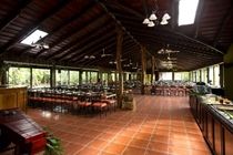 غواناكاستي Buena Vista Lodge & Adventure المظهر الخارجي الصورة